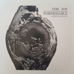 The Joy Formidable ‎– A...