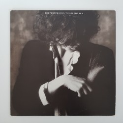 The Waterboys ‎– This Is...