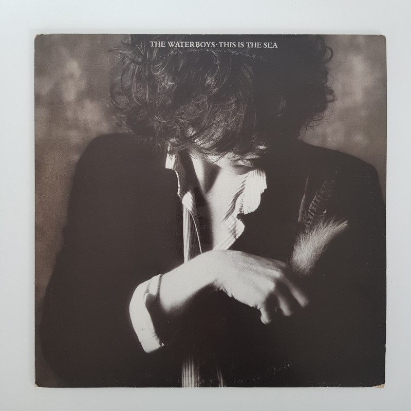 The Waterboys ‎– This Is The Sea - OCC - VG+ - UC