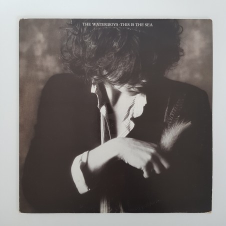 The Waterboys – This Is The Sea - OCC - VG+ - UC