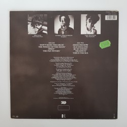 The Waterboys ‎– This Is The Sea - OCC - VG+ - UC